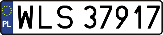WLS37917