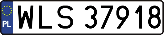 WLS37918
