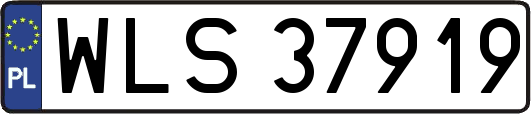 WLS37919