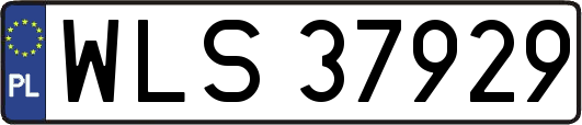 WLS37929