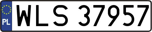 WLS37957