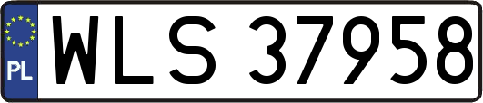 WLS37958