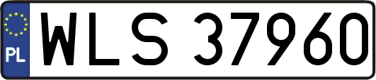 WLS37960