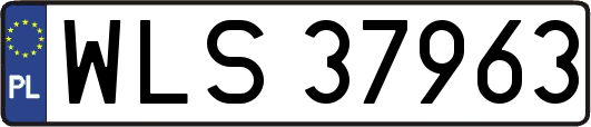 WLS37963