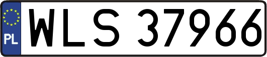 WLS37966