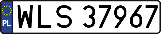 WLS37967