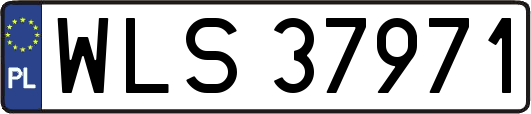 WLS37971
