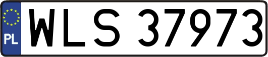 WLS37973