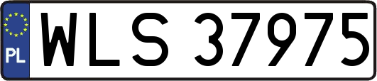 WLS37975