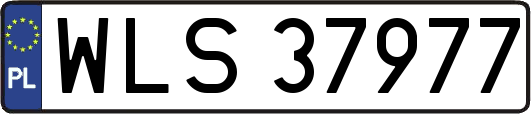 WLS37977