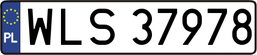 WLS37978