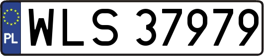 WLS37979