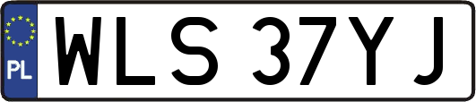 WLS37YJ