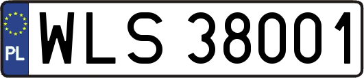 WLS38001