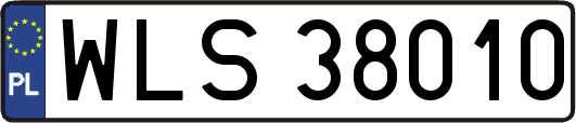 WLS38010