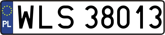 WLS38013