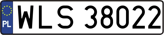 WLS38022