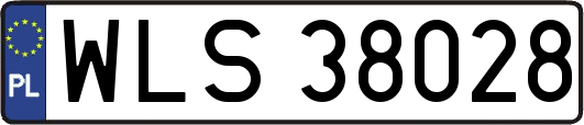 WLS38028