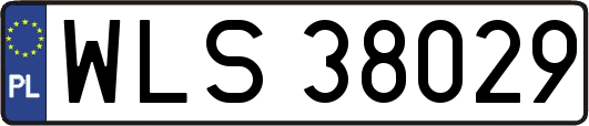 WLS38029
