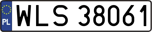 WLS38061