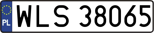 WLS38065