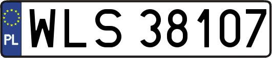 WLS38107