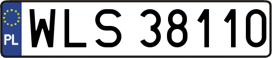 WLS38110
