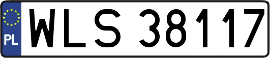 WLS38117