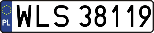 WLS38119