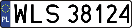WLS38124