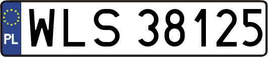 WLS38125