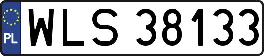WLS38133