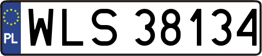 WLS38134