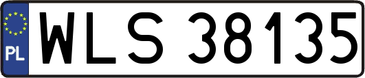 WLS38135