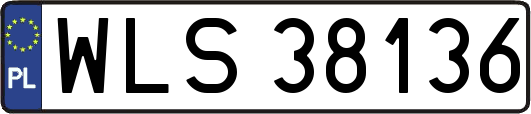 WLS38136