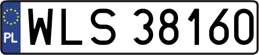 WLS38160