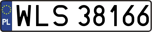 WLS38166