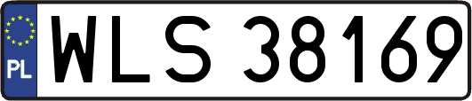WLS38169