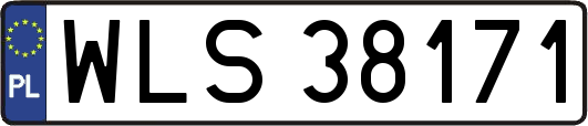 WLS38171
