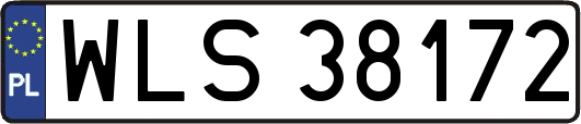 WLS38172