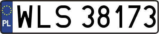 WLS38173