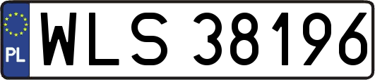 WLS38196