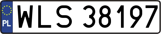WLS38197