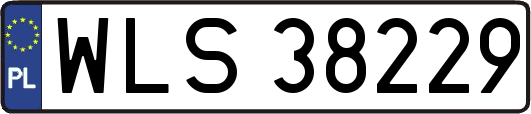 WLS38229
