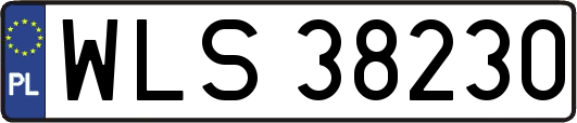 WLS38230