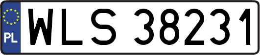 WLS38231