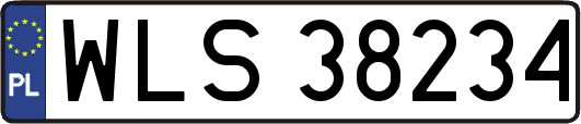 WLS38234