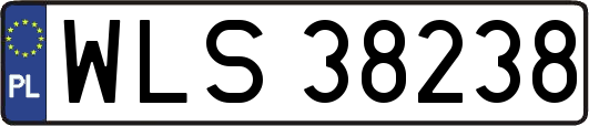 WLS38238