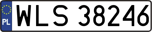 WLS38246