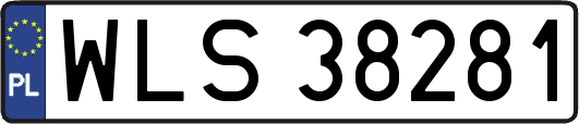 WLS38281